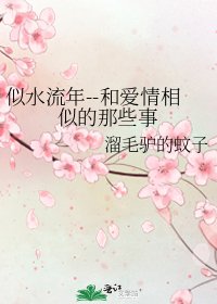 似水流年--和爱情相似的那些事